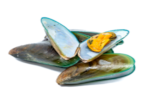 New Zealand Green Lipped Mussel helps reduce joint pain and inflammation in joints