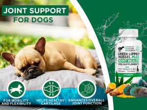 Green Lipped Mussel Plus for Dogs - Out of Stock